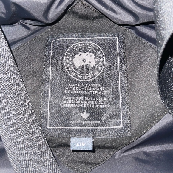 Canada goose - Picture 6 of 6